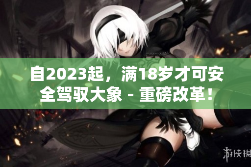 自2023起，滿18歲才可安全駕馭大象 - 重磅改革！