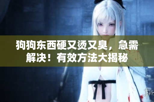 狗狗東西硬又燙又臭，急需解決！有效方法大揭秘