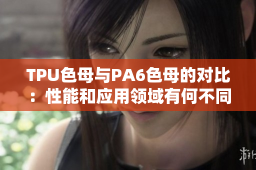 TPU色母與PA6色母的對比：性能和應用領(lǐng)域有何不同？