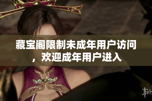 藏寶閣限制未成年用戶訪問，歡迎成年用戶進(jìn)入