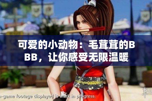 可愛的小動物：毛茸茸的BBB，讓你感受無限溫暖