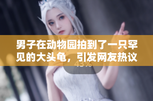 男子在動(dòng)物園拍到了一只罕見(jiàn)的大頭龜，引發(fā)網(wǎng)友熱議
