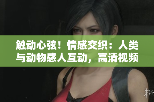 觸動(dòng)心弦！情感交織：人類與動(dòng)物感人互動(dòng)，高清視頻素材免費(fèi)下載