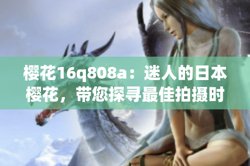 櫻花16q808a：迷人的日本櫻花，帶您探尋最佳拍攝時刻