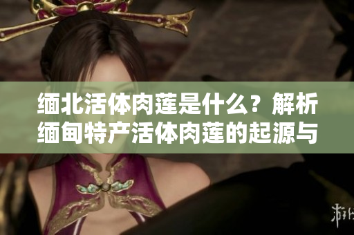 緬北活體肉蓮是什么？解析緬甸特產(chǎn)活體肉蓮的起源與特點