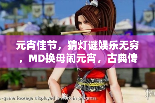 元宵佳節(jié)，猜燈謎娛樂無窮，MD換母鬧元宵，古典傳統(tǒng)重現(xiàn)風(fēng)采