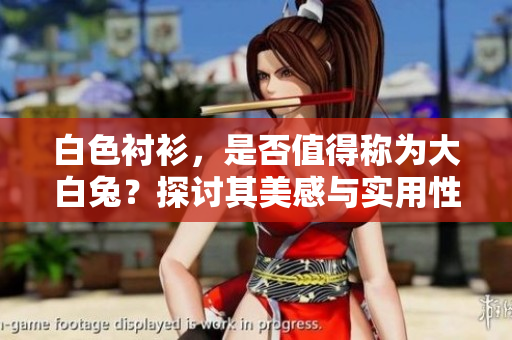 白色襯衫，是否值得稱為大白兔？探討其美感與實(shí)用性