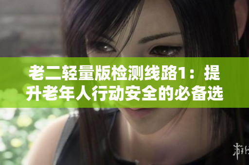 老二輕量版檢測(cè)線路1：提升老年人行動(dòng)安全的必備選擇