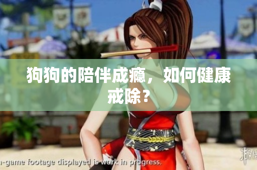 狗狗的陪伴成癮，如何健康戒除？