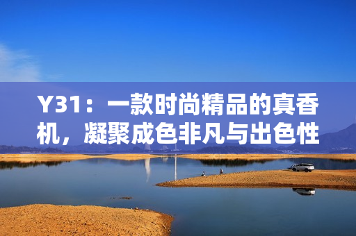Y31：一款時(shí)尚精品的真香機(jī)，凝聚成色非凡與出色性能