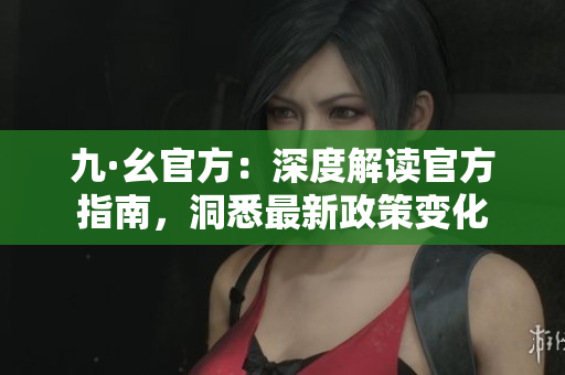 九·幺官方：深度解讀官方指南，洞悉最新政策變化