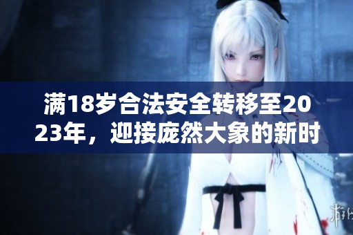 滿18歲合法安全轉(zhuǎn)移至2023年，迎接龐然大象的新時代