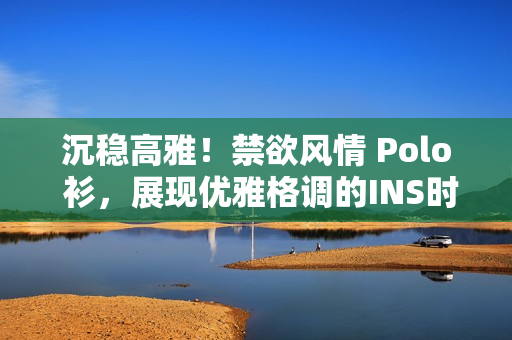 沉穩(wěn)高雅！禁欲風(fēng)情 Polo 衫，展現(xiàn)優(yōu)雅格調(diào)的INS時(shí)尚