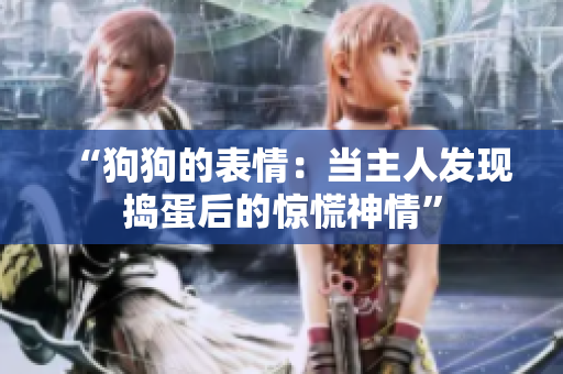 “狗狗的表情：當主人發(fā)現(xiàn)搗蛋后的驚慌神情”