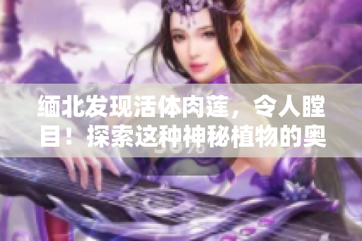 緬北發(fā)現(xiàn)活體肉蓮，令人瞠目！探索這種神秘植物的奧秘