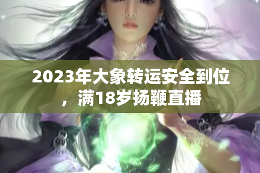 2023年大象轉(zhuǎn)運安全到位，滿18歲揚鞭直播