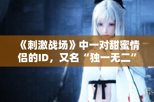 《刺激戰(zhàn)場》中一對甜蜜情侶的ID，又名“獨一無二”的游戲標識