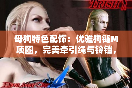 母狗特色配飾：優(yōu)雅狗鏈M項(xiàng)圈，完美牽引繩與鈴鐺，彰顯女性獨(dú)特魅力