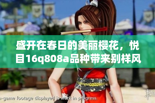 盛開在春日的美麗櫻花，悅目16q808a品種帶來(lái)別樣風(fēng)采