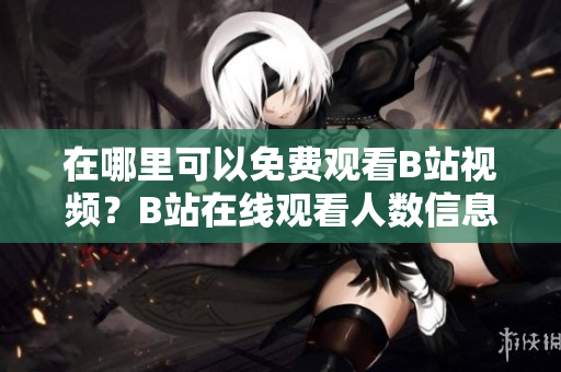 在哪里可以免費(fèi)觀看B站視頻？B站在線觀看人數(shù)信息獲取指南