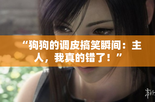 “狗狗的調(diào)皮搞笑瞬間：主人，我真的錯了！”