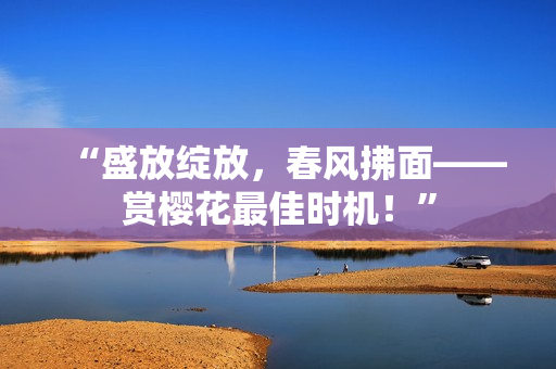 “盛放綻放，春風拂面——賞櫻花最佳時機！”
