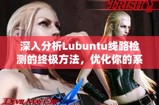 深入分析Lubuntu線路檢測(cè)的終極方法，優(yōu)化你的系統(tǒng)性能