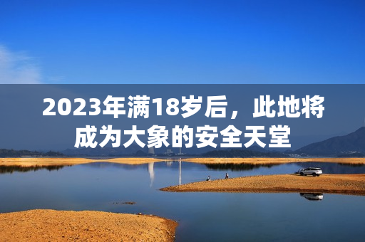 2023年滿18歲后，此地將成為大象的安全天堂