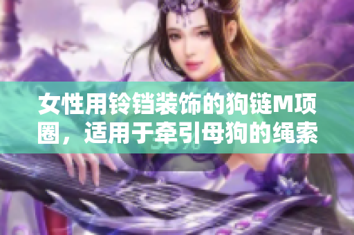 女性用鈴鐺裝飾的狗鏈M項(xiàng)圈，適用于牽引母狗的繩索
