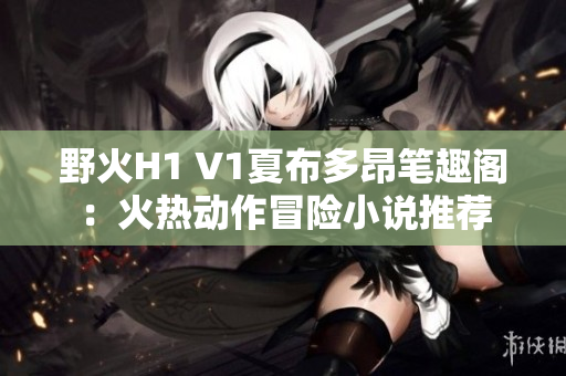 野火H1 V1夏布多昂筆趣閣：火熱動(dòng)作冒險(xiǎn)小說推薦