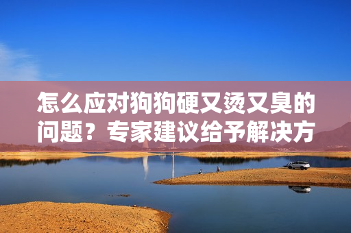 怎么應對狗狗硬又燙又臭的問題？專家建議給予解決方案