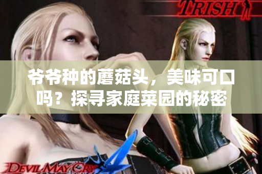 爺爺種的蘑菇頭，美味可口嗎？探尋家庭菜園的秘密
