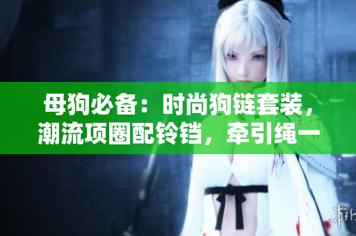 母狗必備：時(shí)尚狗鏈套裝，潮流項(xiàng)圈配鈴鐺，牽引繩一應(yīng)俱全