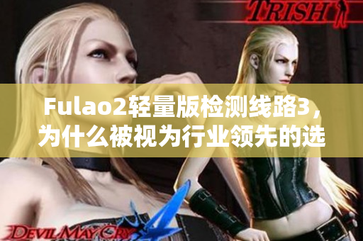 Fulao2輕量版檢測線路3，為什么被視為行業(yè)領(lǐng)先的選擇？