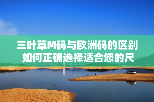 三葉草M碼與歐洲碼的區(qū)別 如何正確選擇適合您的尺碼？