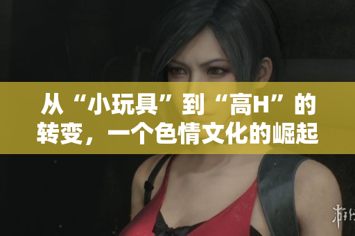 從“小玩具”到“高H”的轉(zhuǎn)變，一個色情文化的崛起？