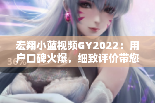 宏翔小藍(lán)視頻GY2022：用戶口碑火爆，細(xì)致評價帶您了解其表現(xiàn)
