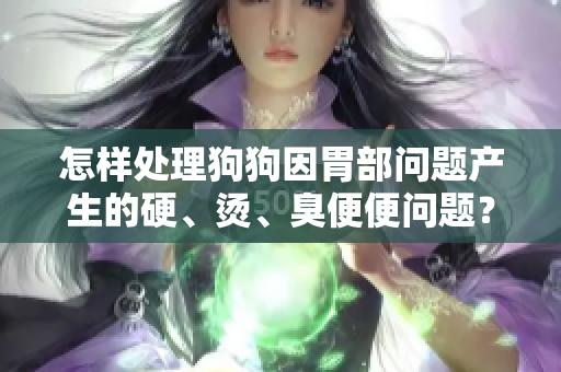怎樣處理狗狗因胃部問題產(chǎn)生的硬、燙、臭便便問題？