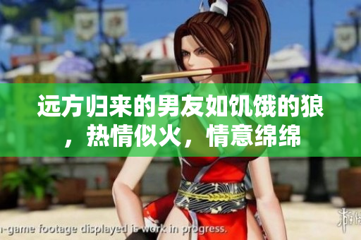 遠(yuǎn)方歸來的男友如饑餓的狼，熱情似火，情意綿綿
