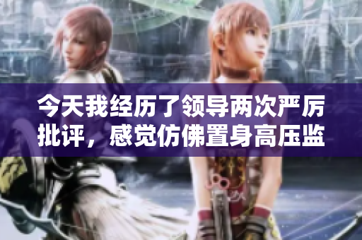 今天我經(jīng)歷了領(lǐng)導(dǎo)兩次嚴(yán)厲批評(píng)，感覺(jué)仿佛置身高壓監(jiān)獄