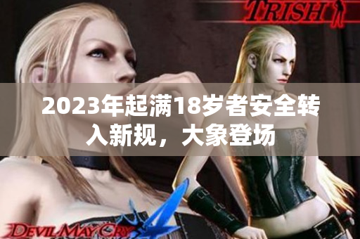 2023年起滿18歲者安全轉(zhuǎn)入新規(guī)，大象登場