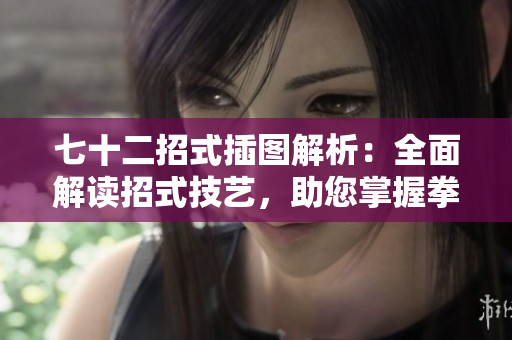 七十二招式插圖解析：全面解讀招式技藝，助您掌握拳法精髓！