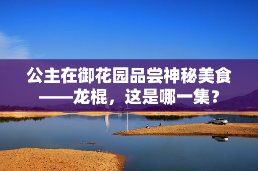 公主在御花園品嘗神秘美食——龍棍，這是哪一集？
