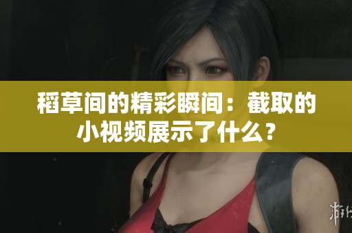 稻草間的精彩瞬間：截取的小視頻展示了什么？