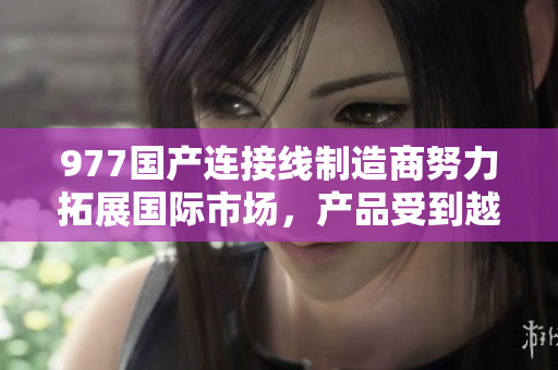 977國產(chǎn)連接線制造商努力拓展國際市場，產(chǎn)品受到越來越多用戶的青睞