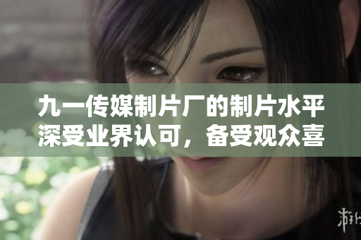 九一傳媒制片廠的制片水平深受業(yè)界認(rèn)可，備受觀眾喜愛