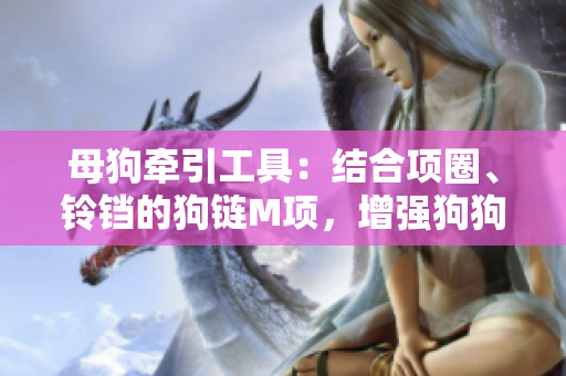母狗牽引工具：結(jié)合項圈、鈴鐺的狗鏈M項，增強狗狗安全感