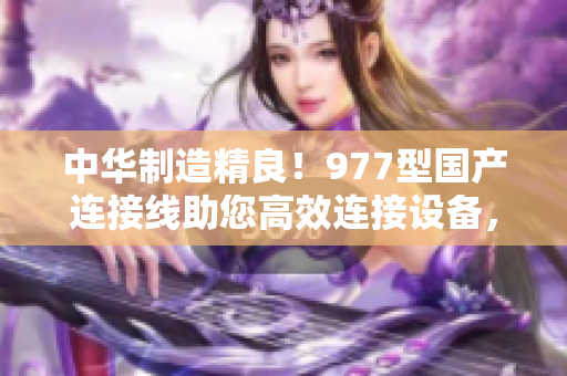 中華制造精良！977型國(guó)產(chǎn)連接線(xiàn)助您高效連接設(shè)備，打造穩(wěn)定網(wǎng)絡(luò)通訊