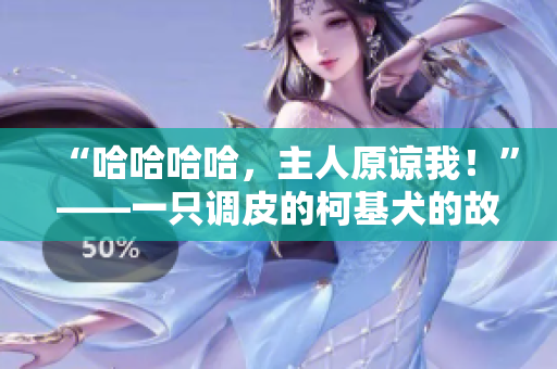 “哈哈哈哈，主人原諒我！”——一只調(diào)皮的柯基犬的故事
