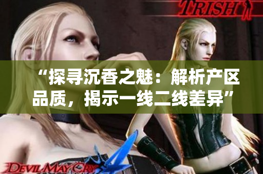 “探尋沉香之魅：解析產(chǎn)區(qū)品質，揭示一線二線差異”